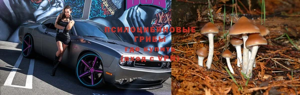 a pvp Беломорск